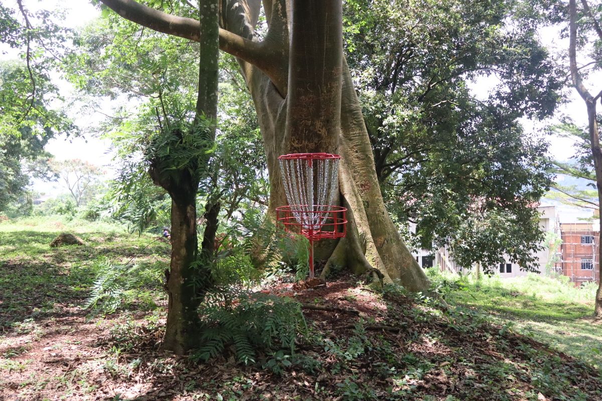 Hole 3 basket