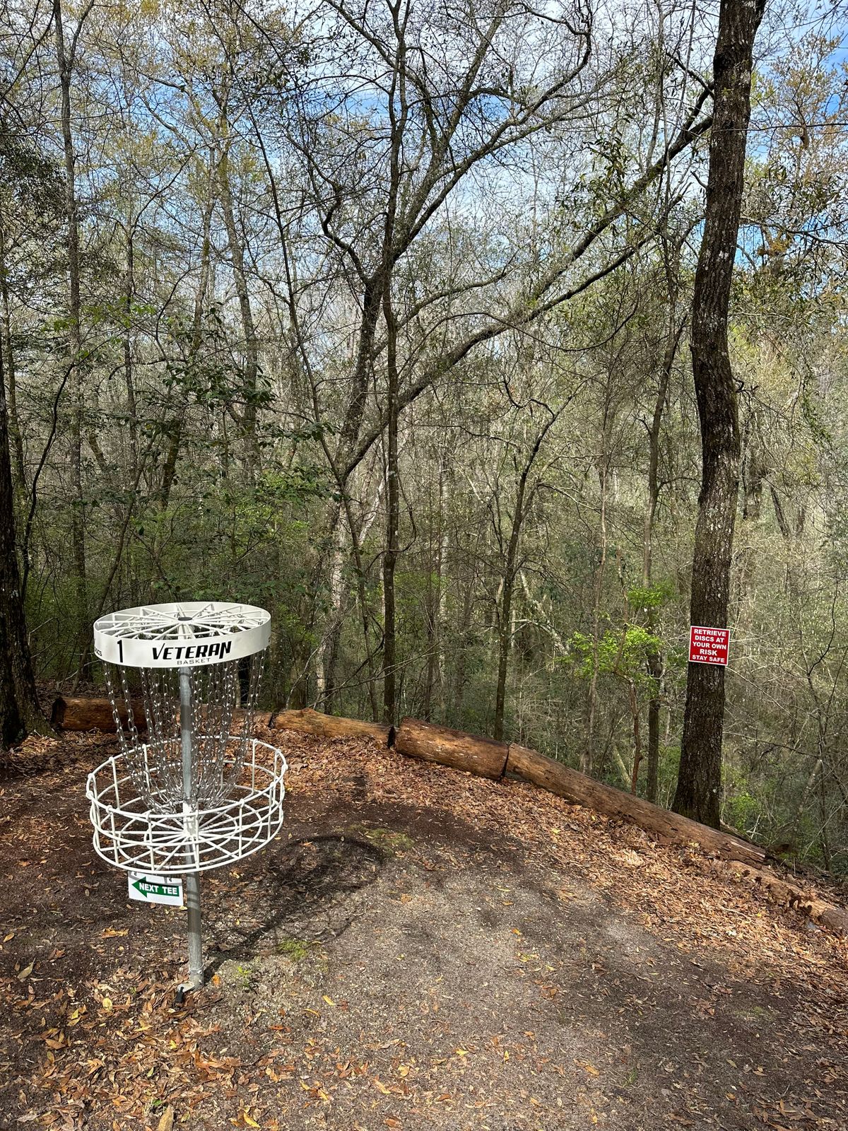 Hole 1s nervy green