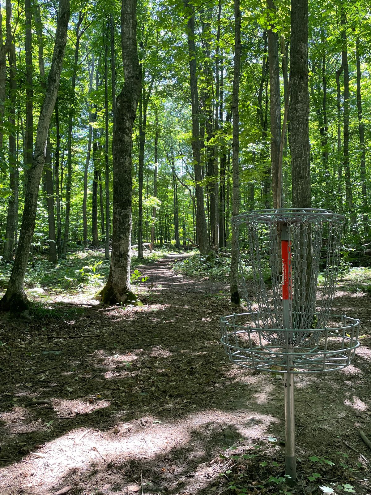 Looking back down the fairway towards the tee pad