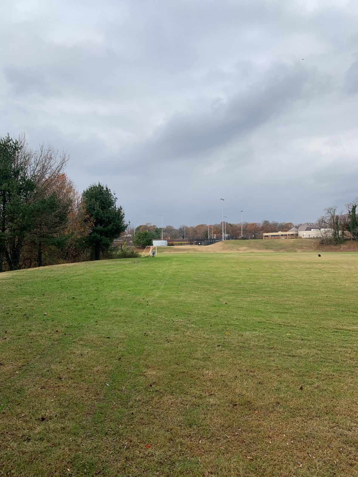 Tee area of hole 5