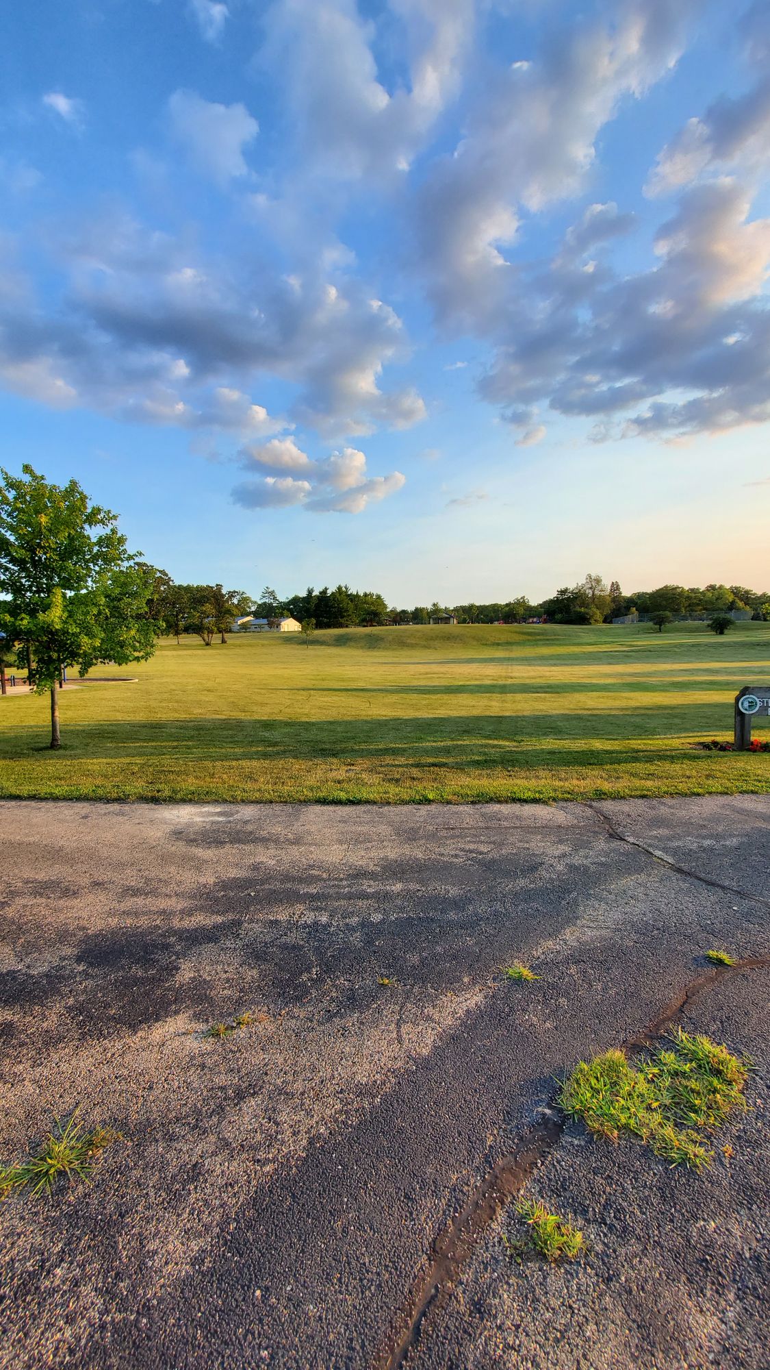 Alt 4 tee (between tree on left and park sign on right)