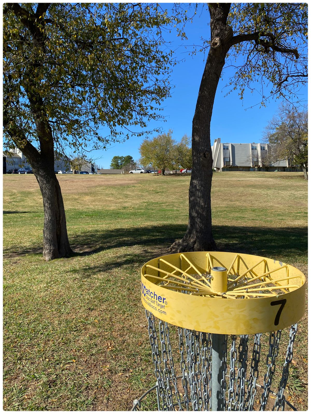 The2 guardian trees on #7 looking back to Tee