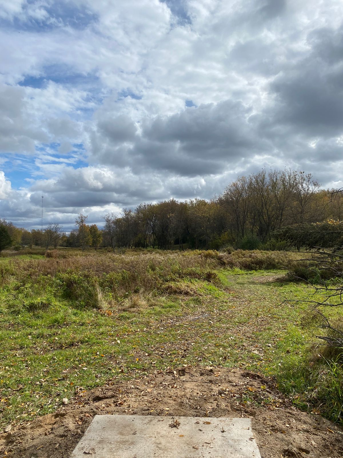 Hole 8. Basket over field, through trees and far back