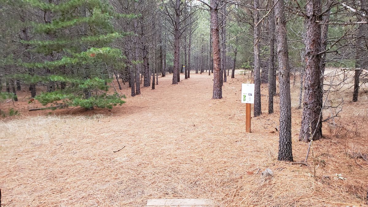 Tee pad hole 6