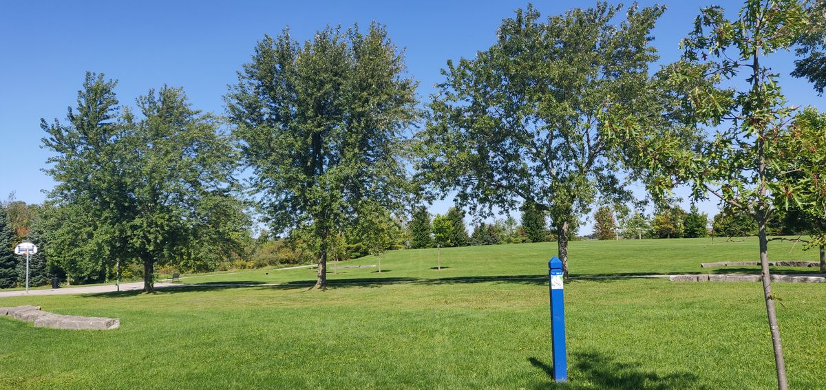 Hole 3 from behind tee pad towards basket