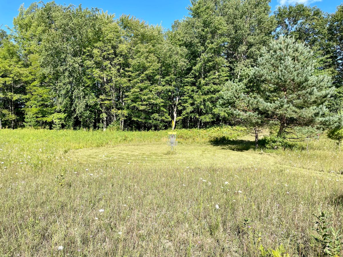 Hole 4 green
