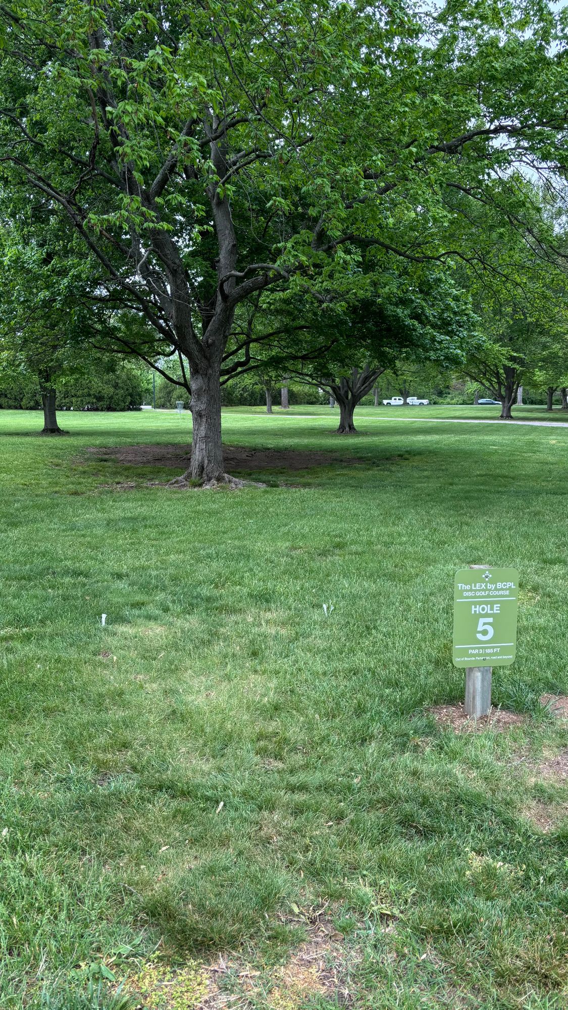 Hole 5