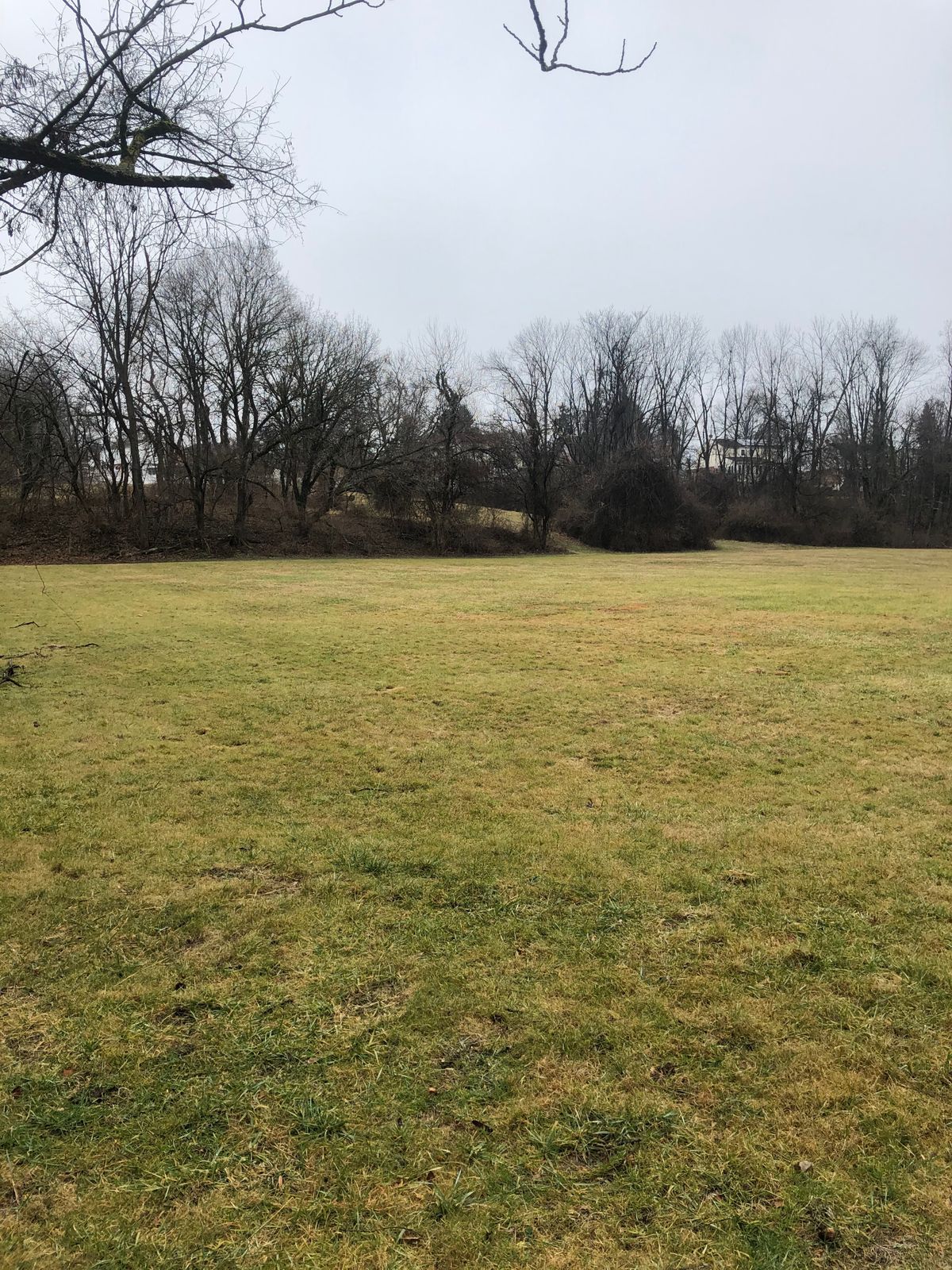 Hole #005