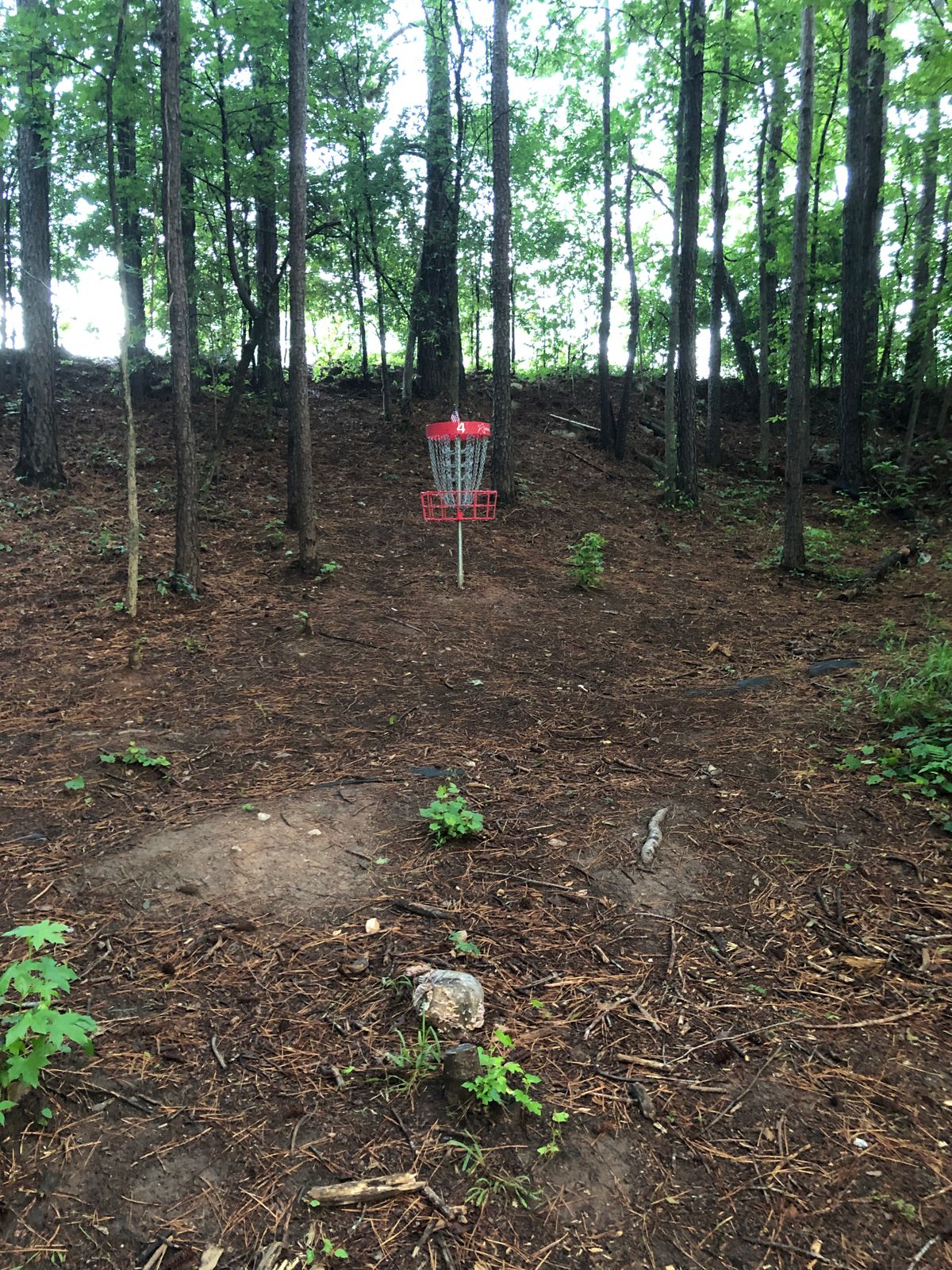 There is NO sign for 4 - hurricane damage blew it away. But you can see the 4 hole.