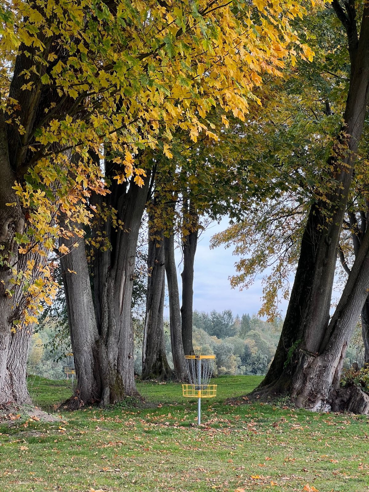 Hole 16