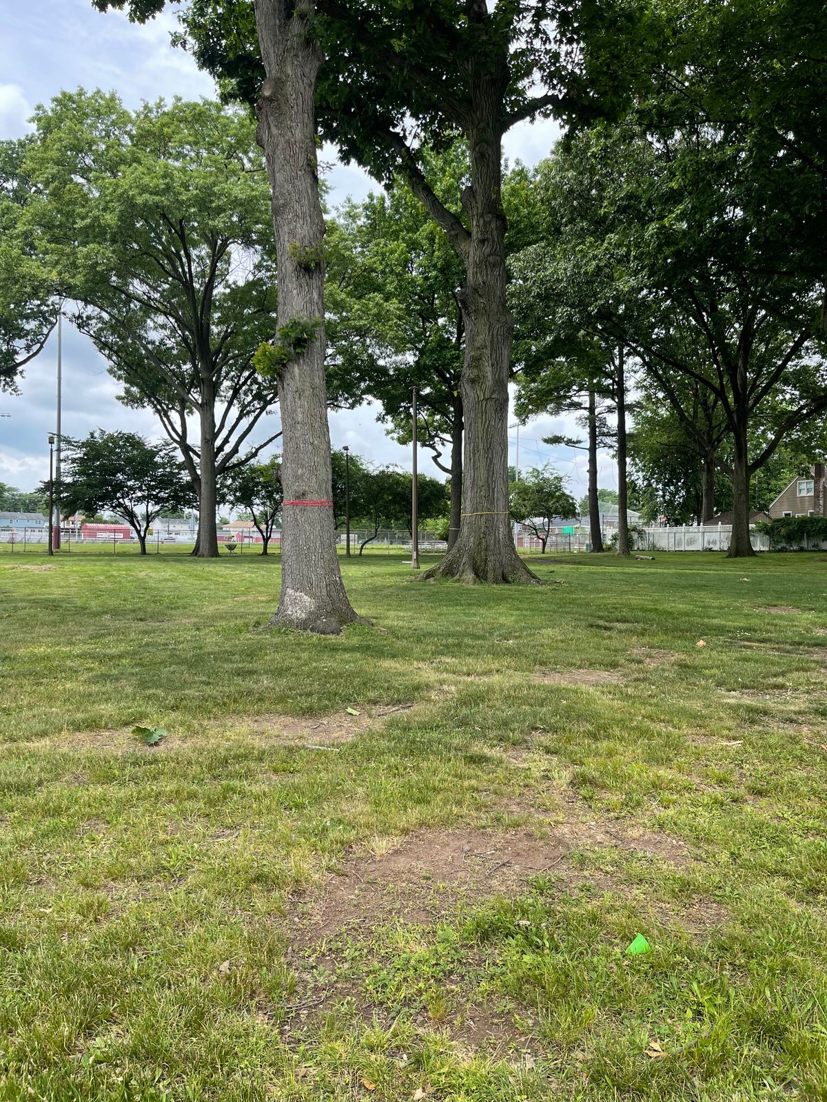 These are pics from the approximate current tee locations.