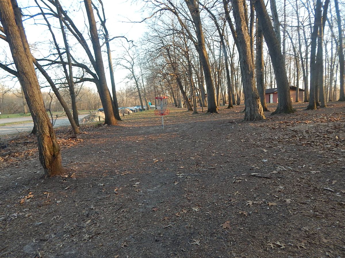Hole 16 basket