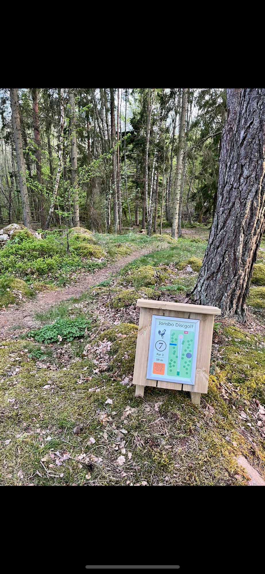 Stig till hål 7