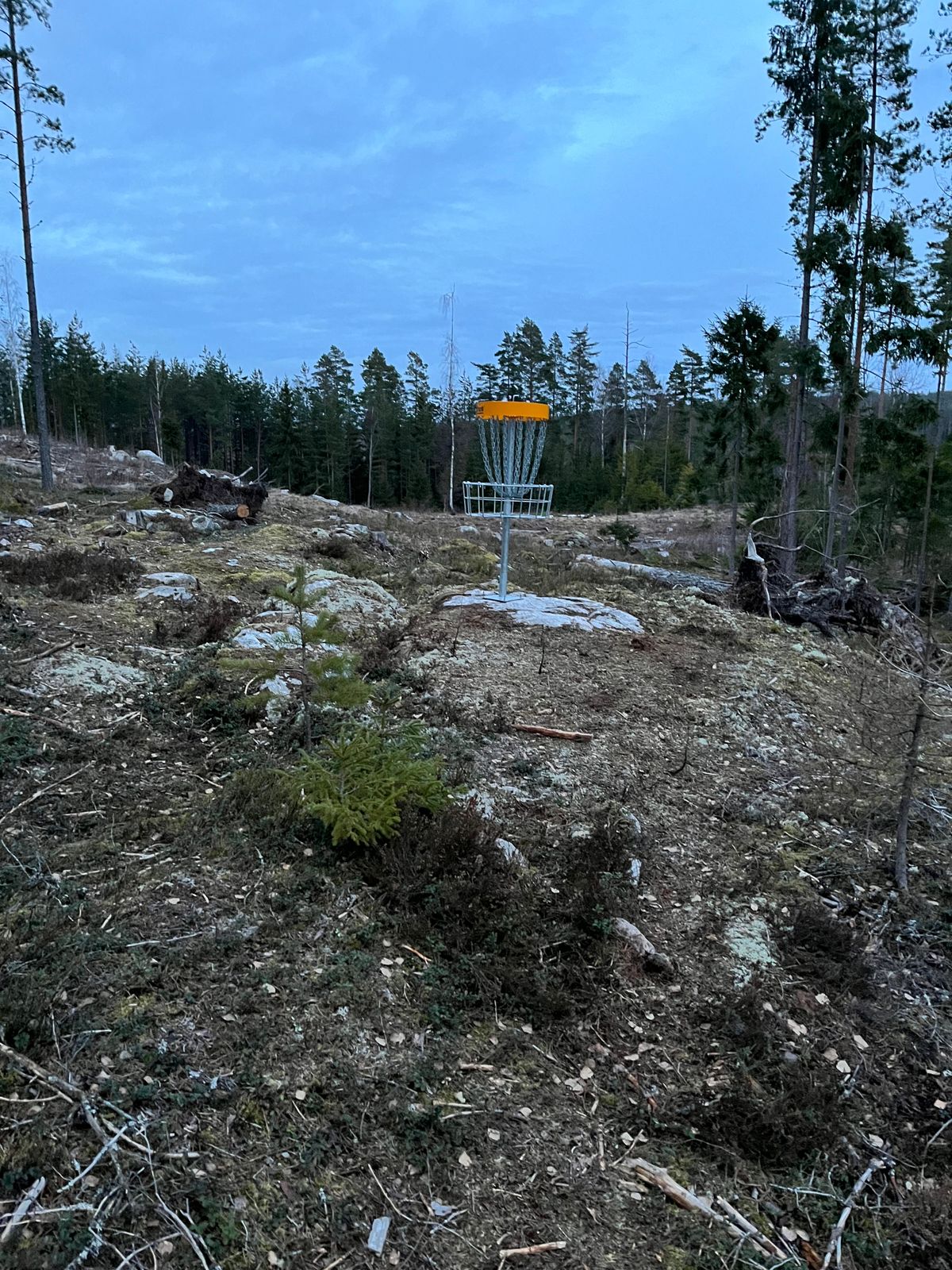 Korg hål 13