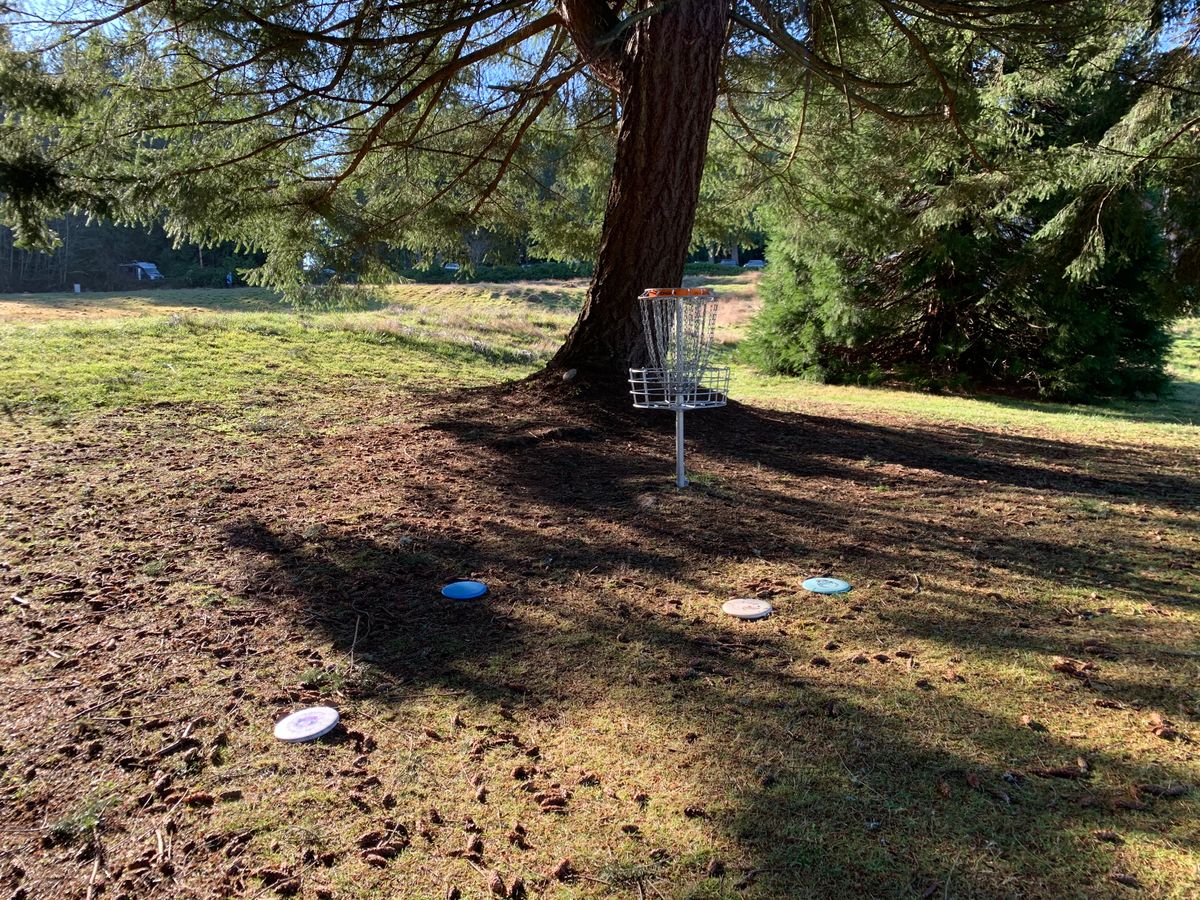 Hole 18 Basket