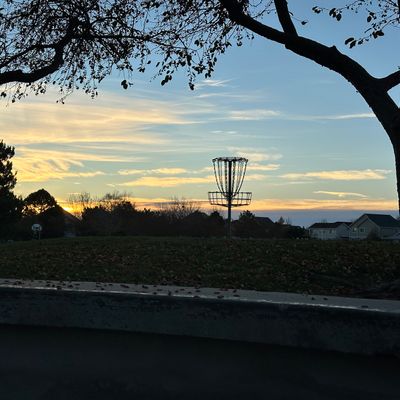 The view from tee 1, near a different basket.