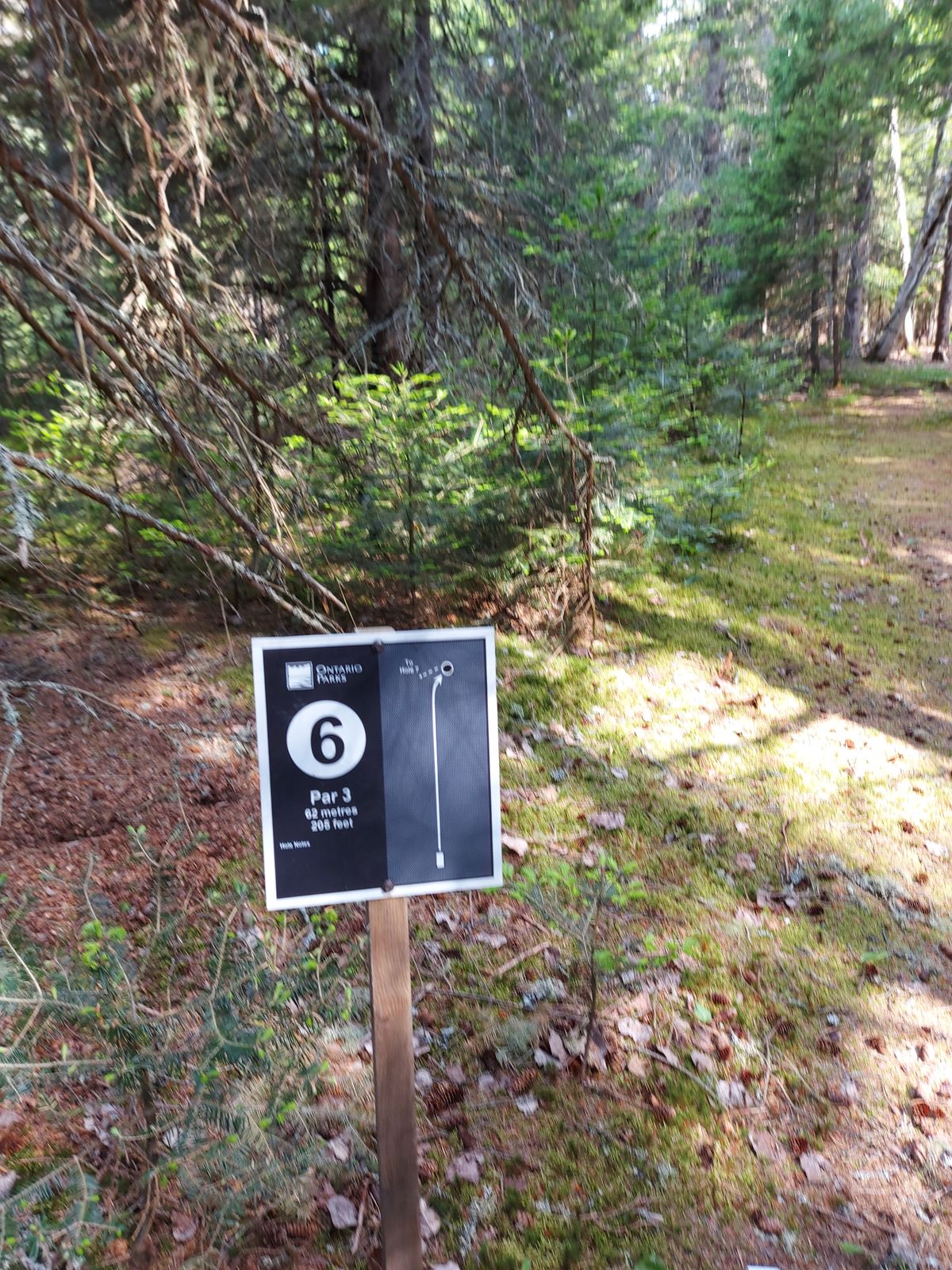 Hole sign 6. 205ft 🍁🌲🍁🌲🍁🌲