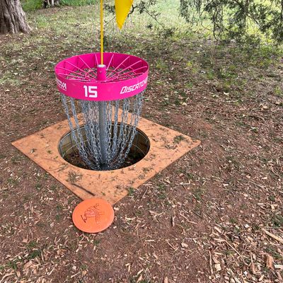 Hole 15’s basket