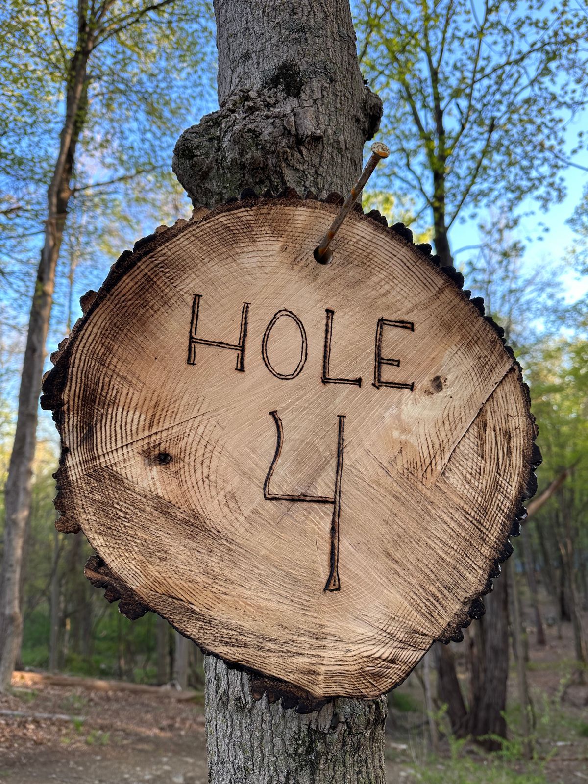 Hole 4 of the Forest Loop, but hole 8 for the full 18. 