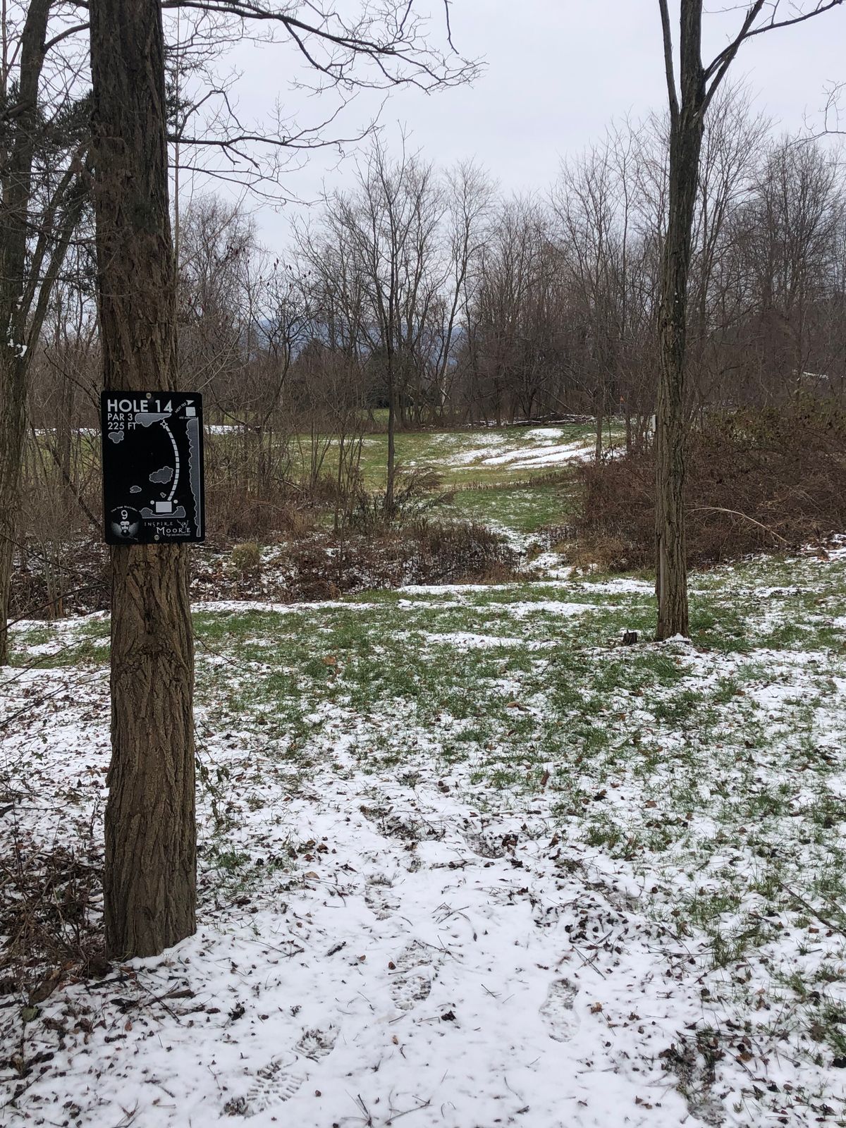 Hole 14 tee