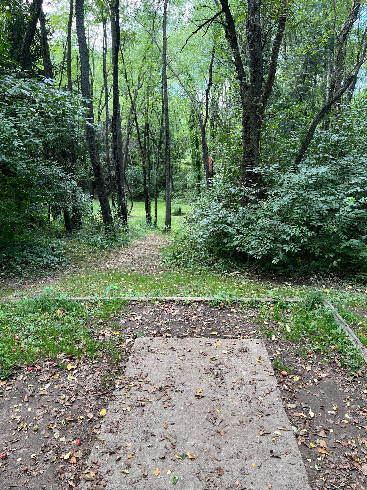 Hole 12