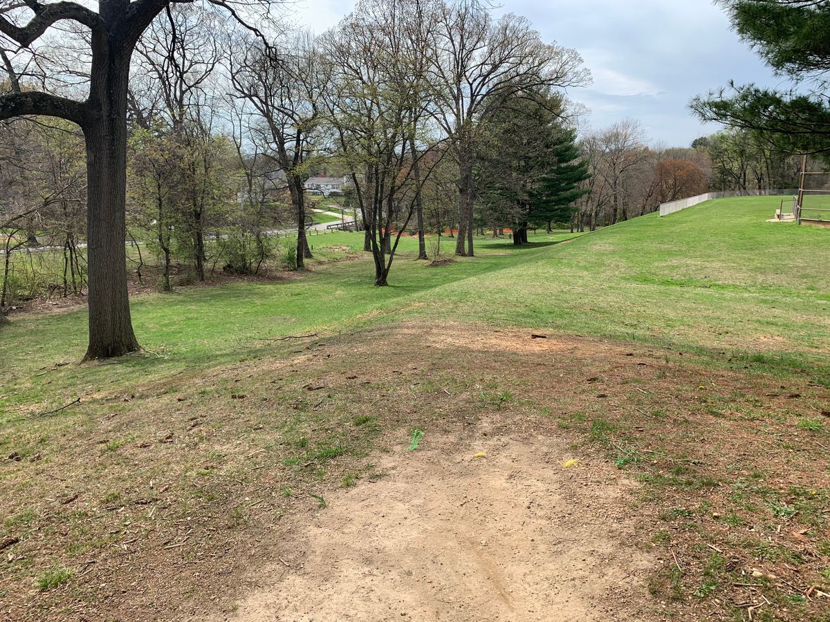 Hole 13 tee. Basket is down to the left