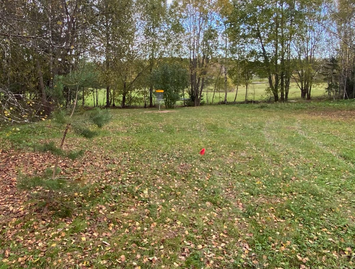 Hål 5