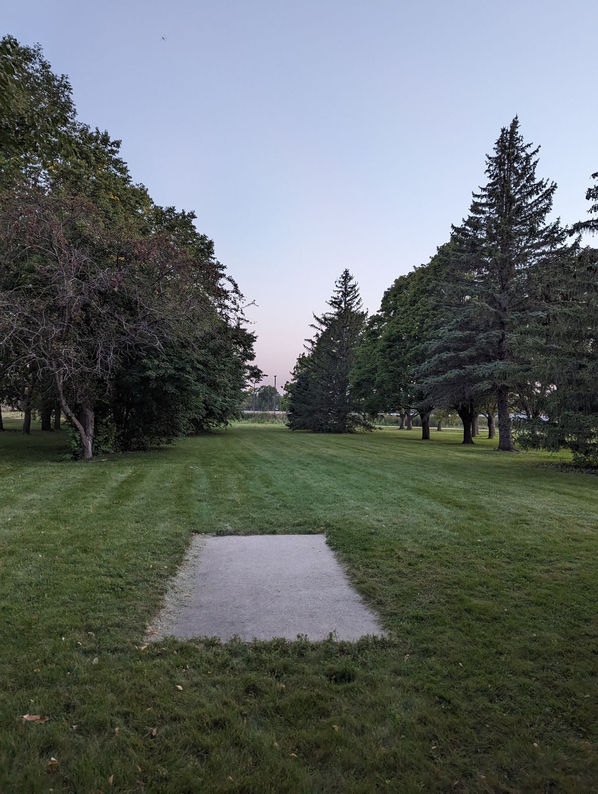 Tee 3