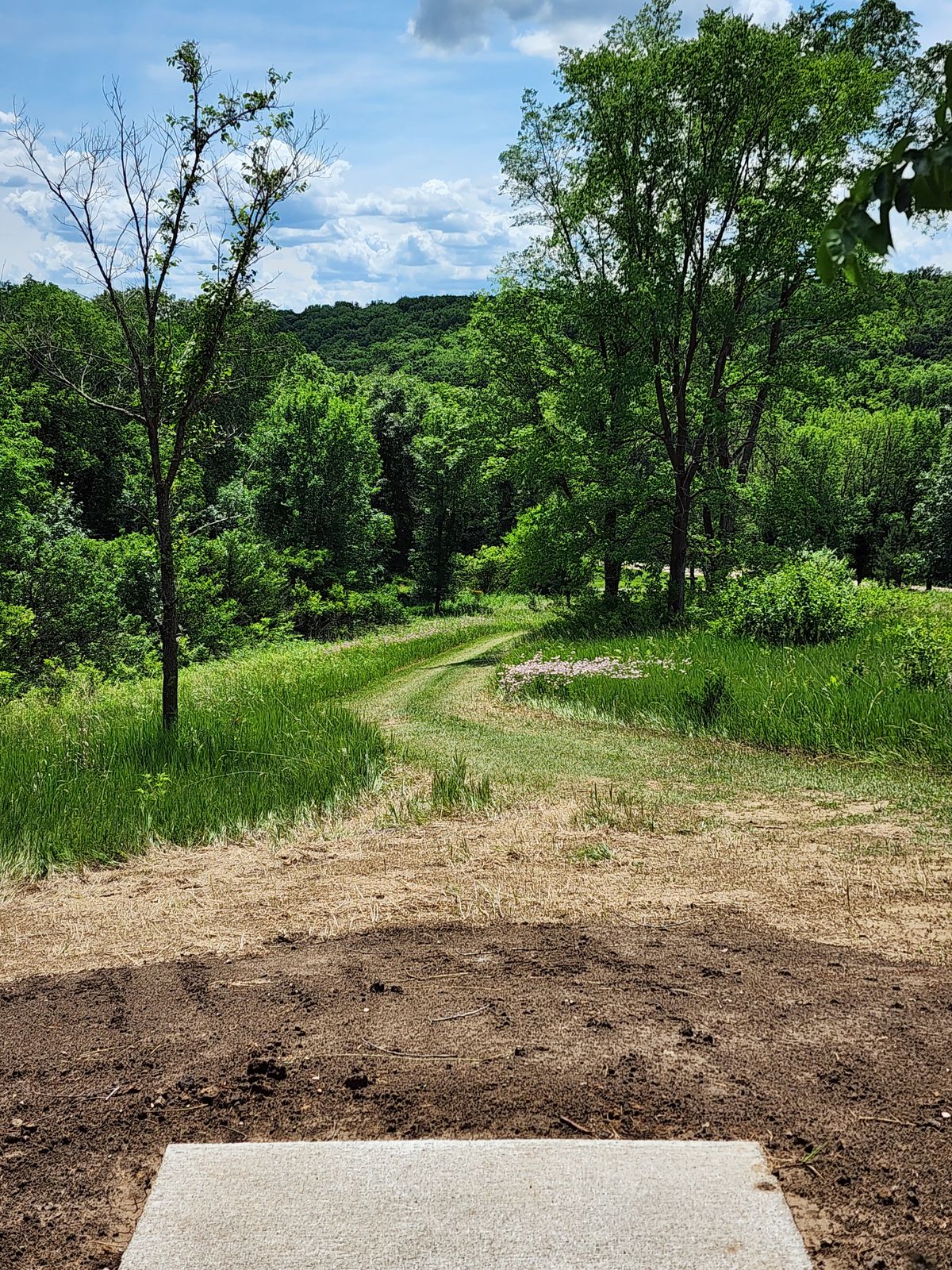 Hole 8