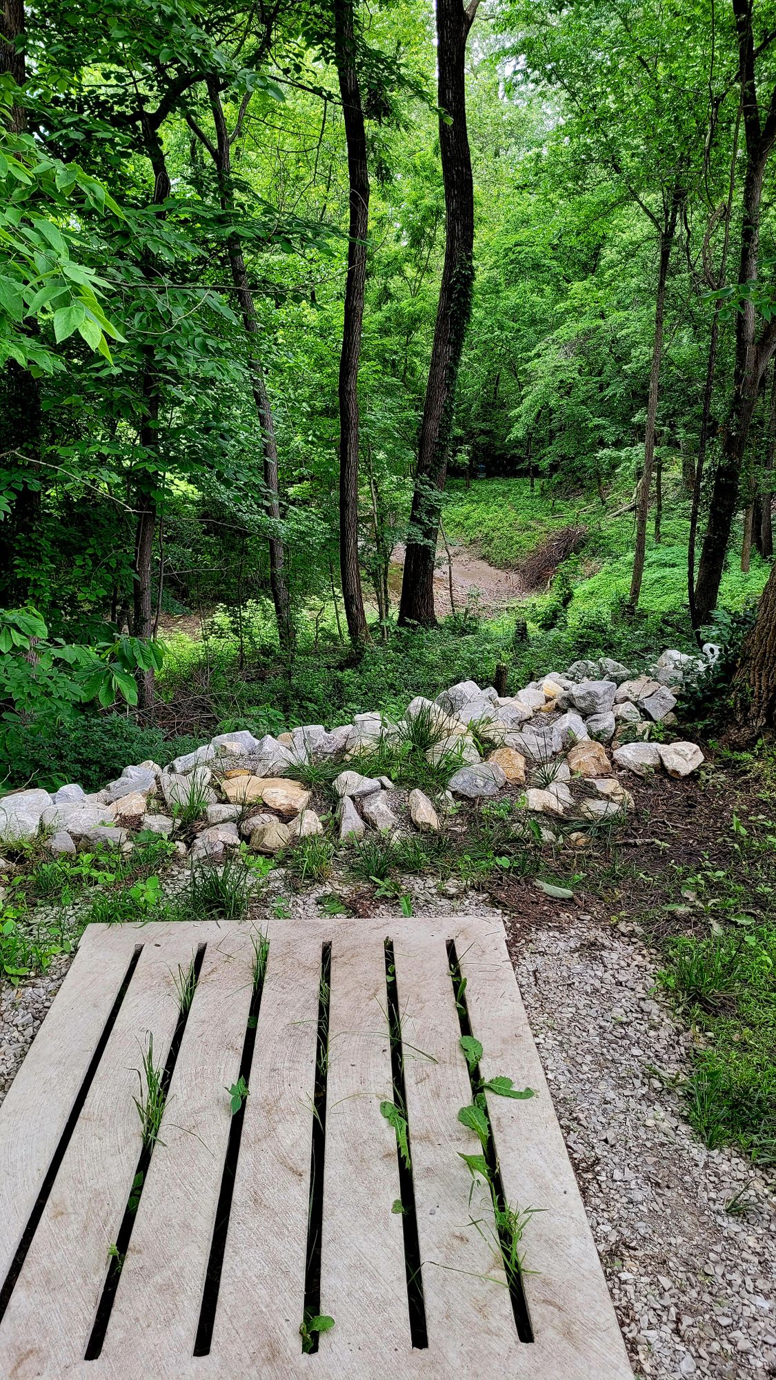Hole 7