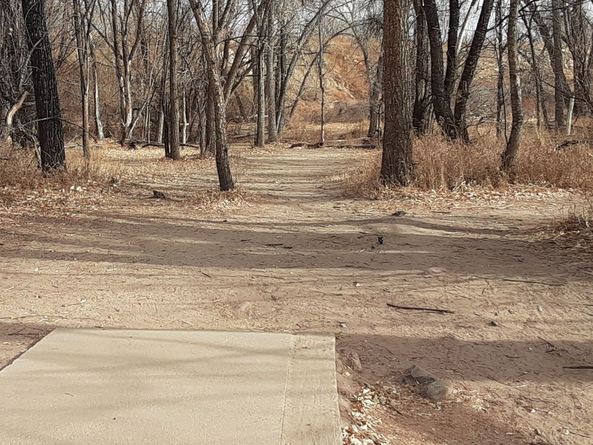 The leaves have fallen.
