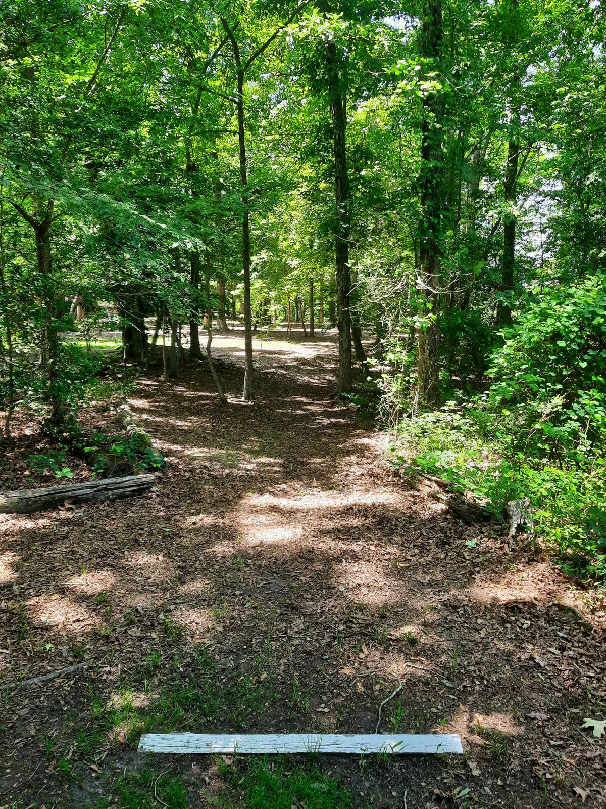 Hole 13 White Alt Tee