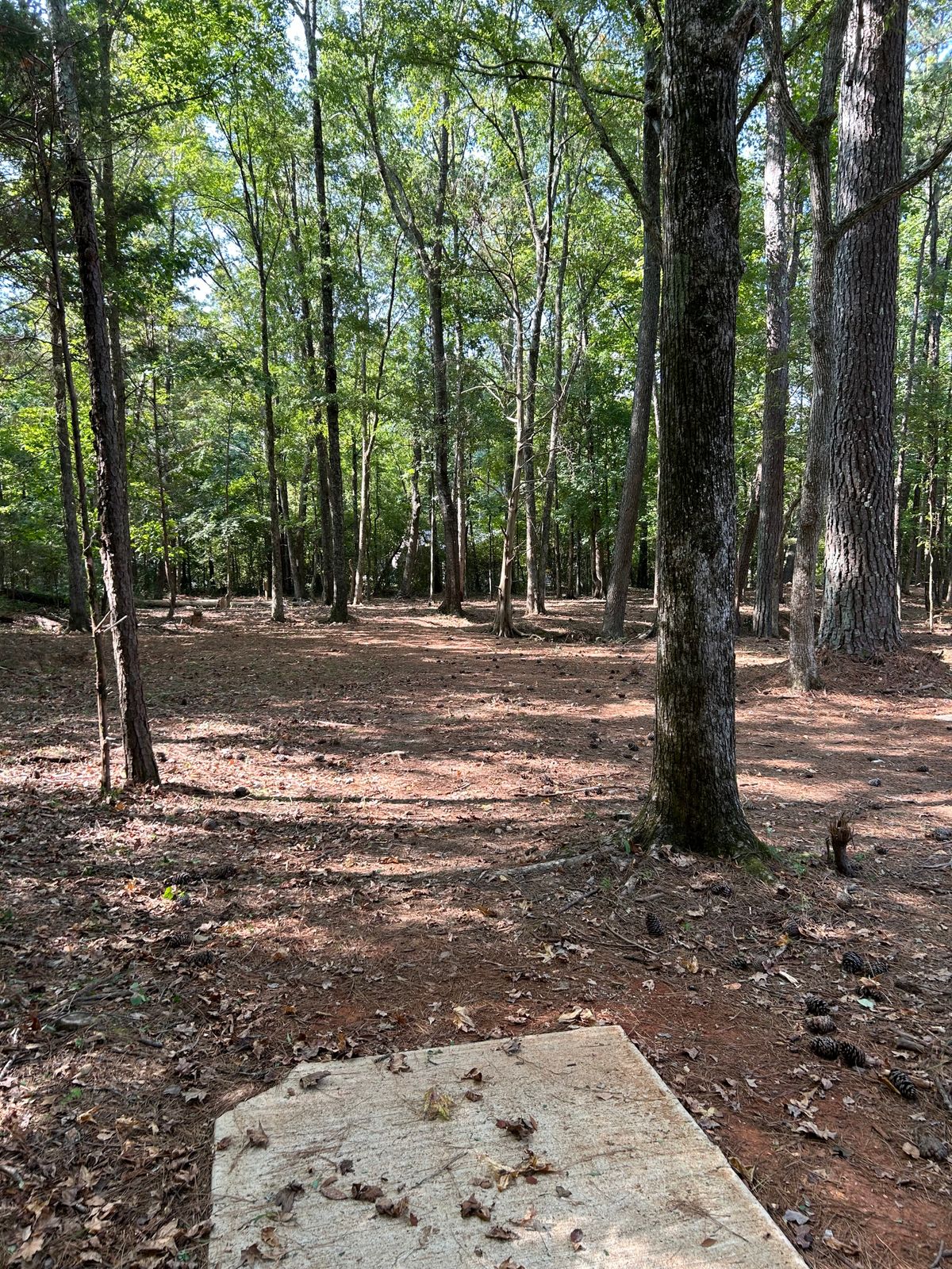 Hole 11 Tee