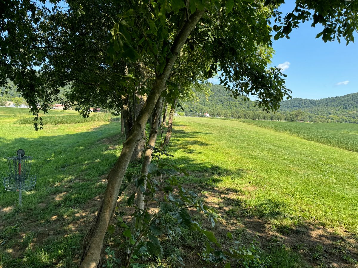 Hole 4 Basket to Tee