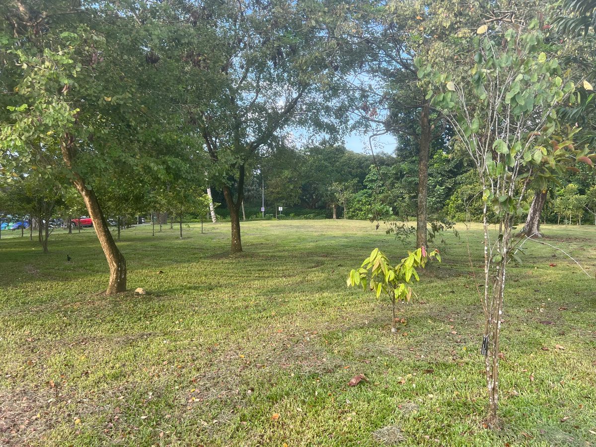 Hole 4 from dogleg towards green. OB parking lot left. OB road long.