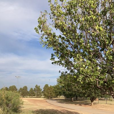Hole 8 Tee