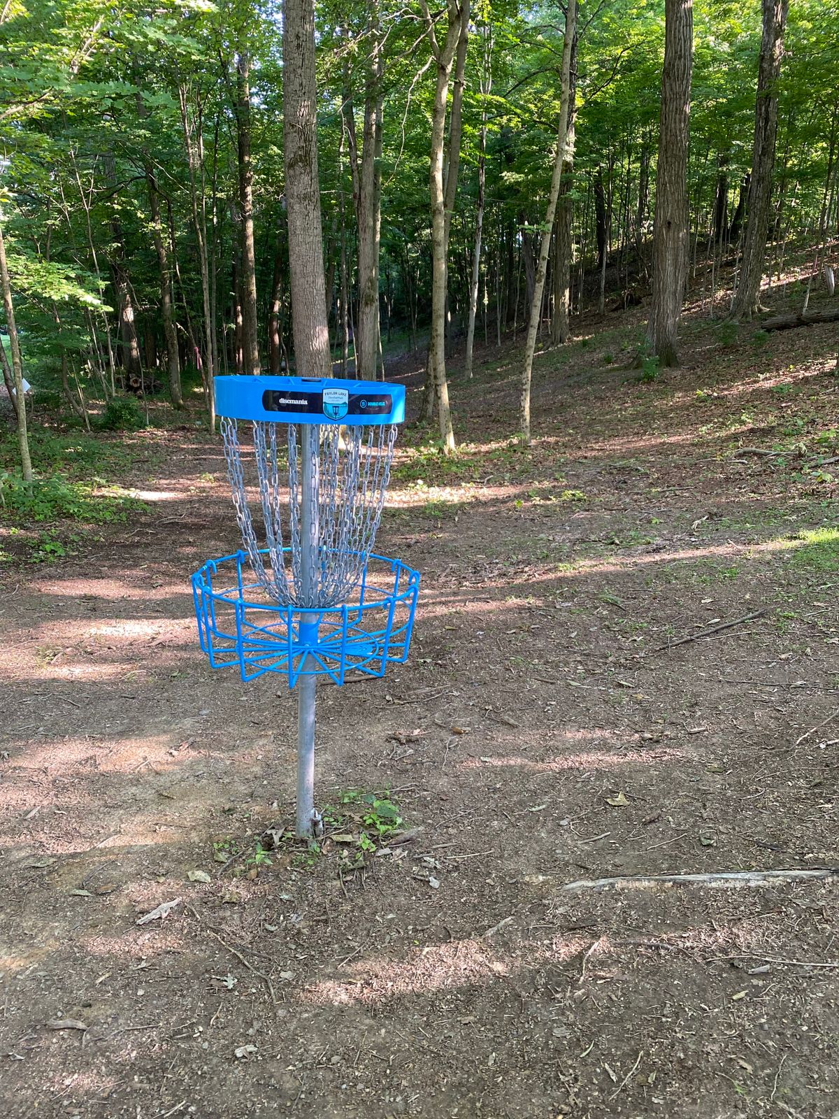 Hole 10 basket looking back towards the tee