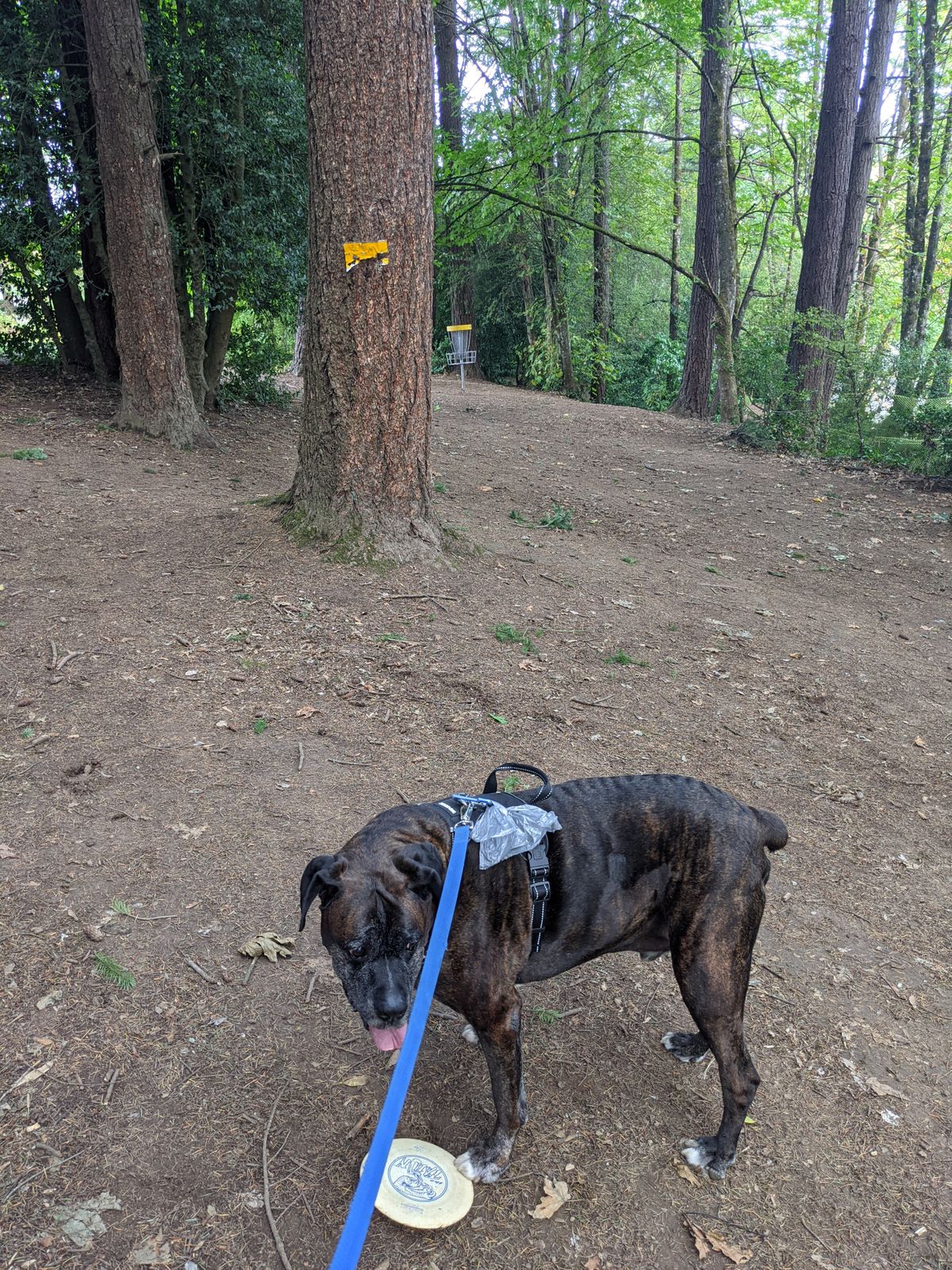 Hole 11