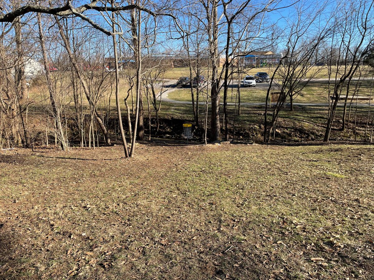Hole 8 fairway and basket