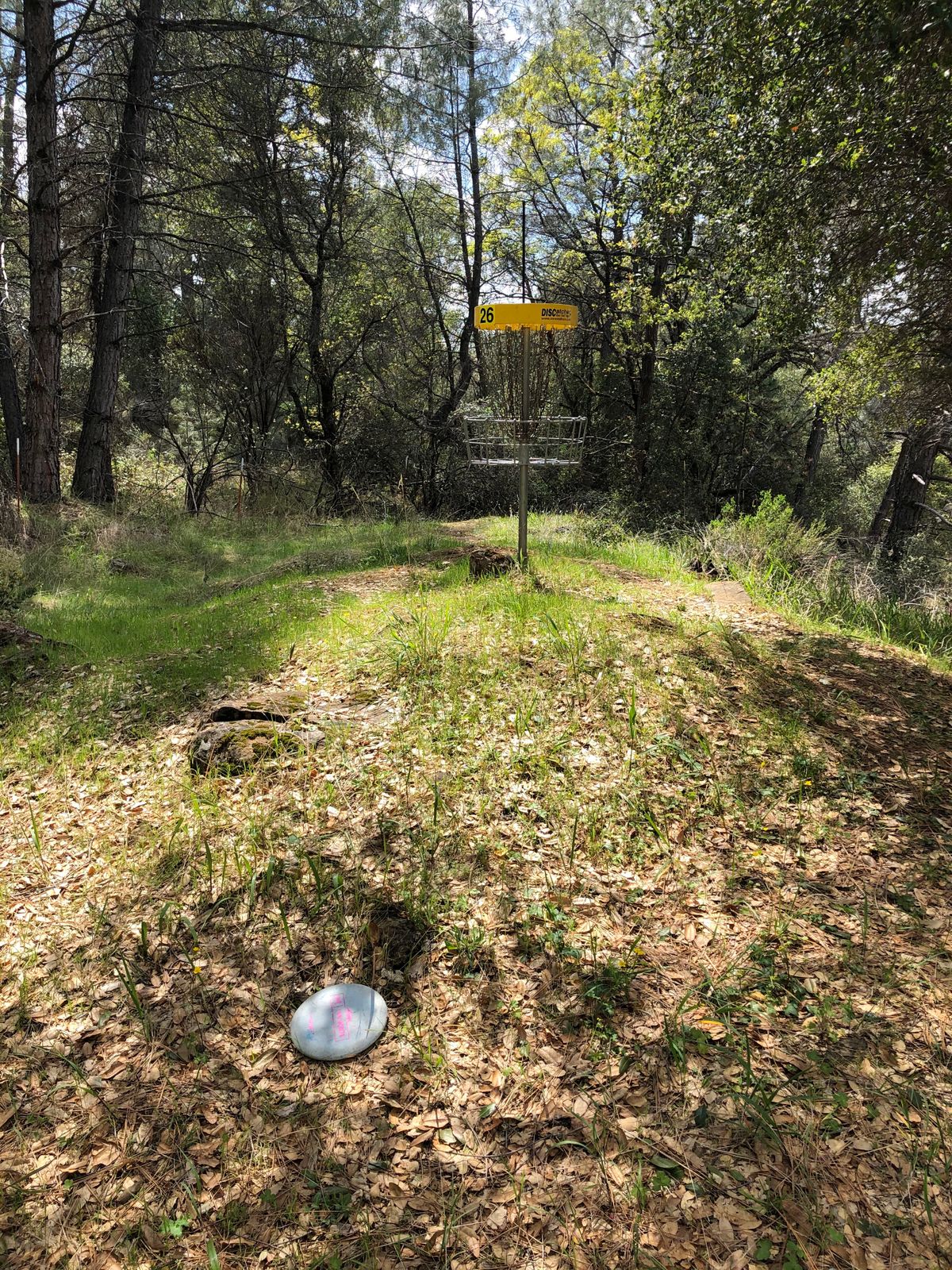 Eagle putt on 26