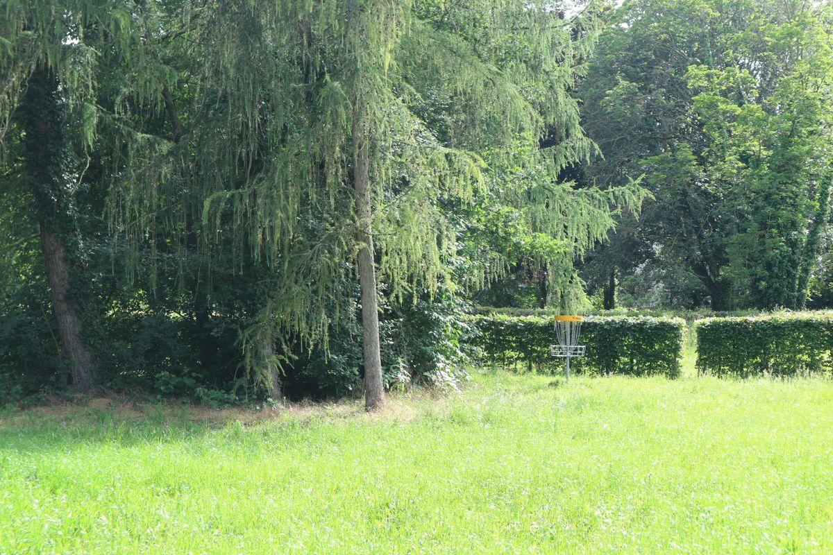 Basket from hole 12