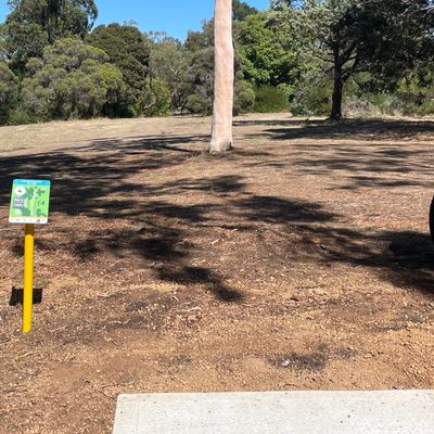 Hole 4 tee