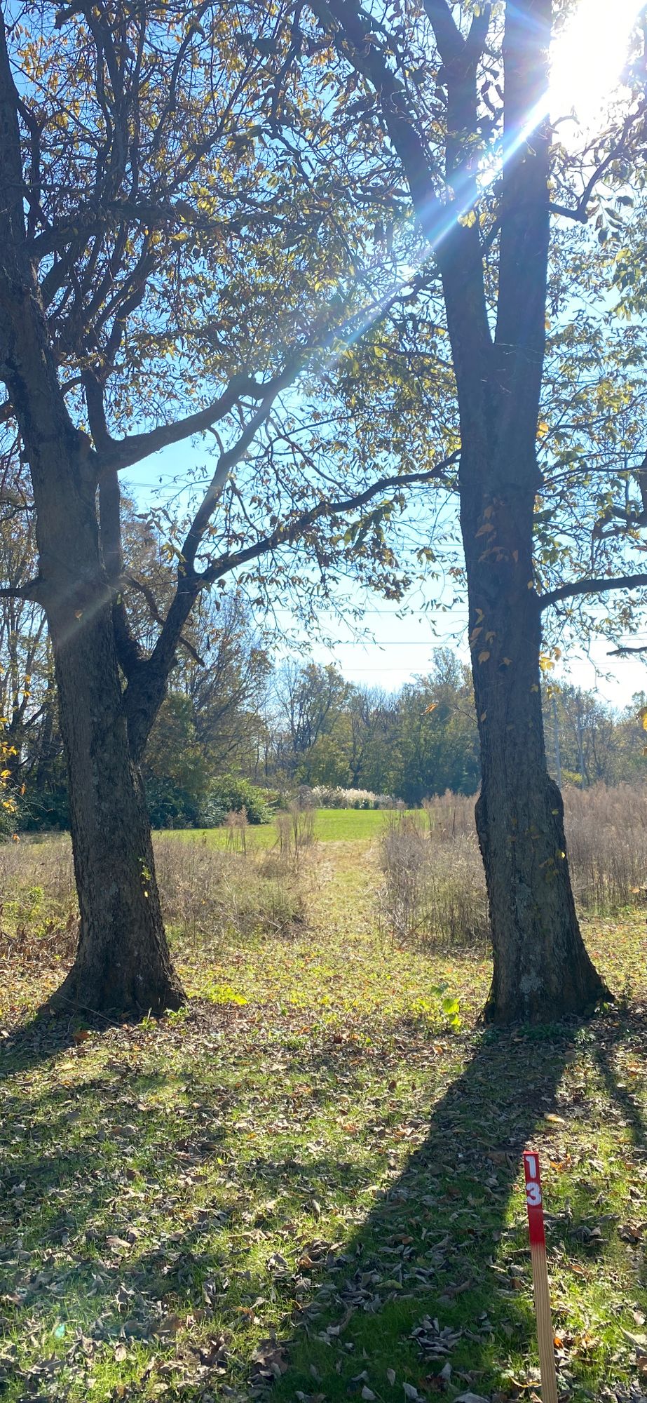 Hole 13