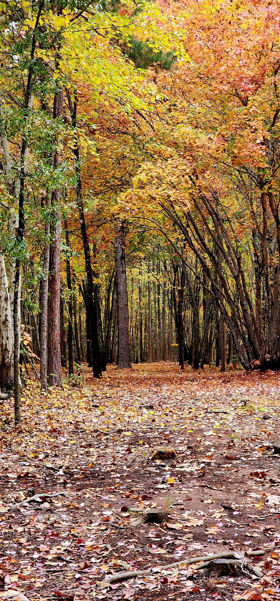 Hole 13