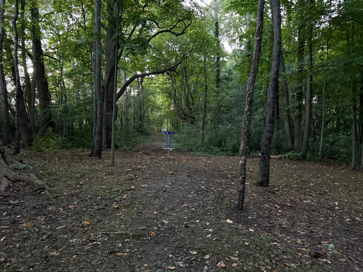 Hole 15 Green