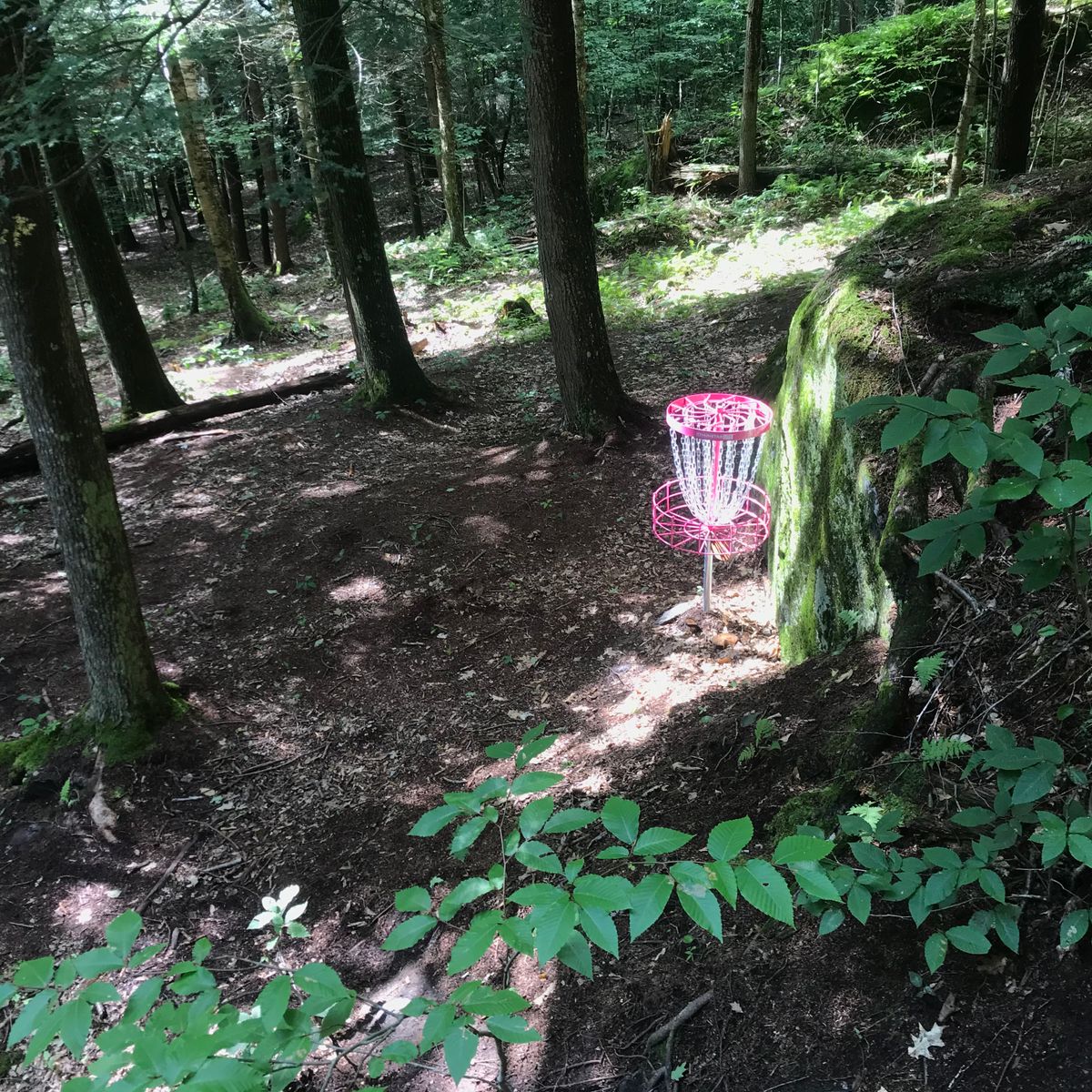 The green on hole 5.