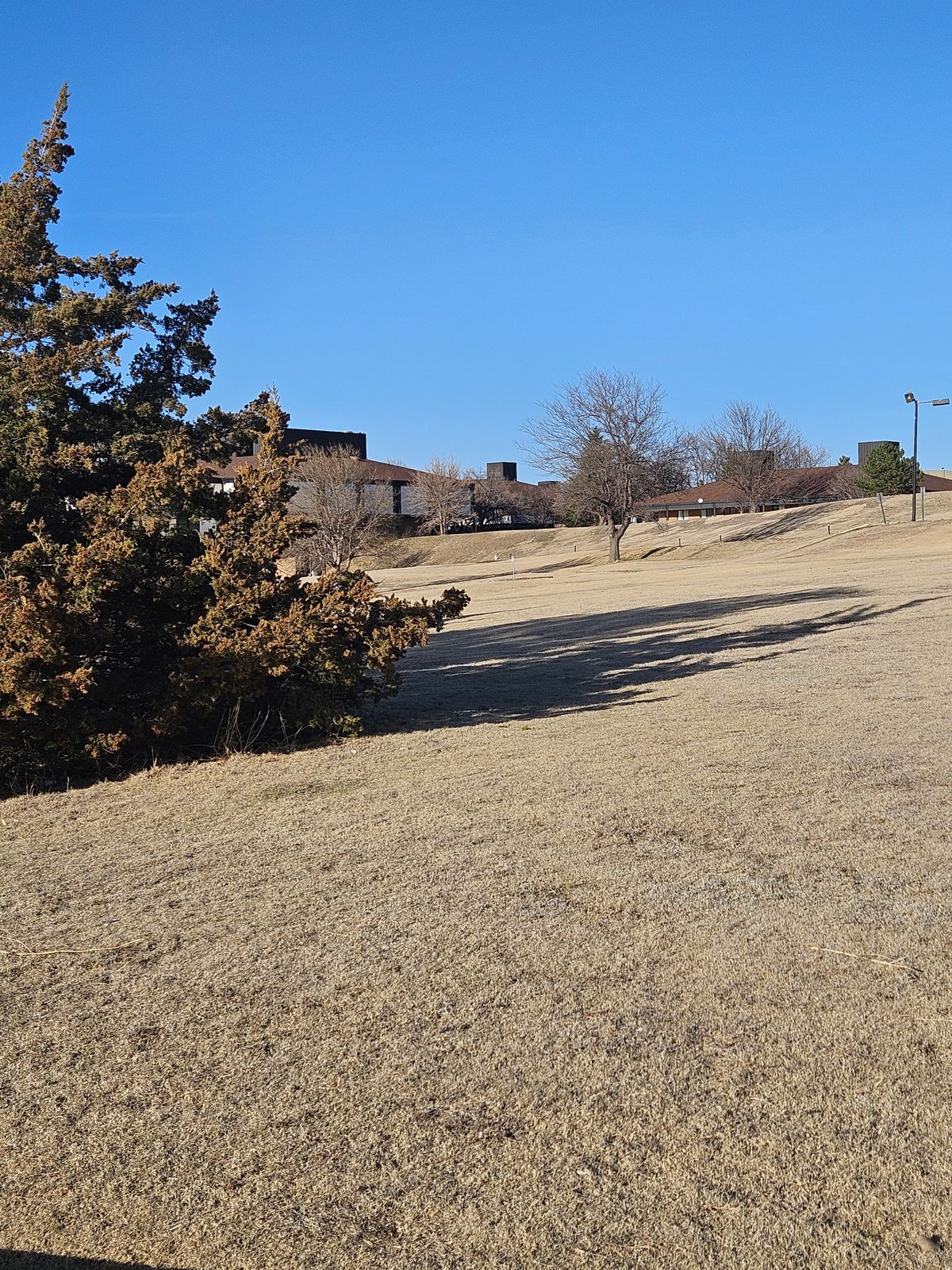 Standing on tee #9