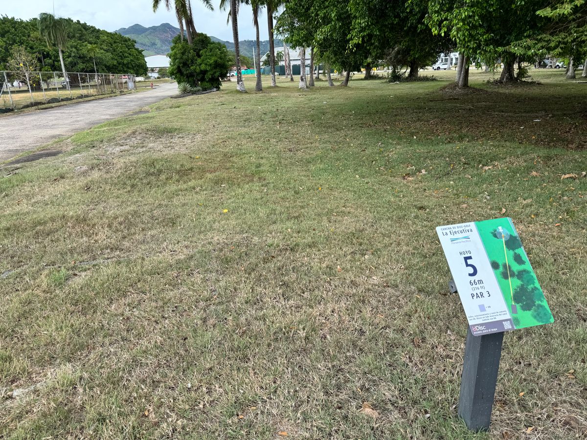 Hole 5 tee
