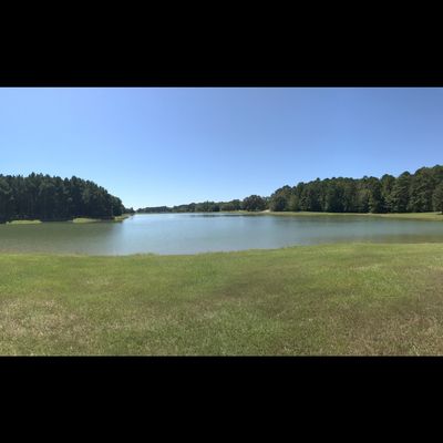Zoom in to see the other basket across the water.straight across right edge of the huge Treeline...