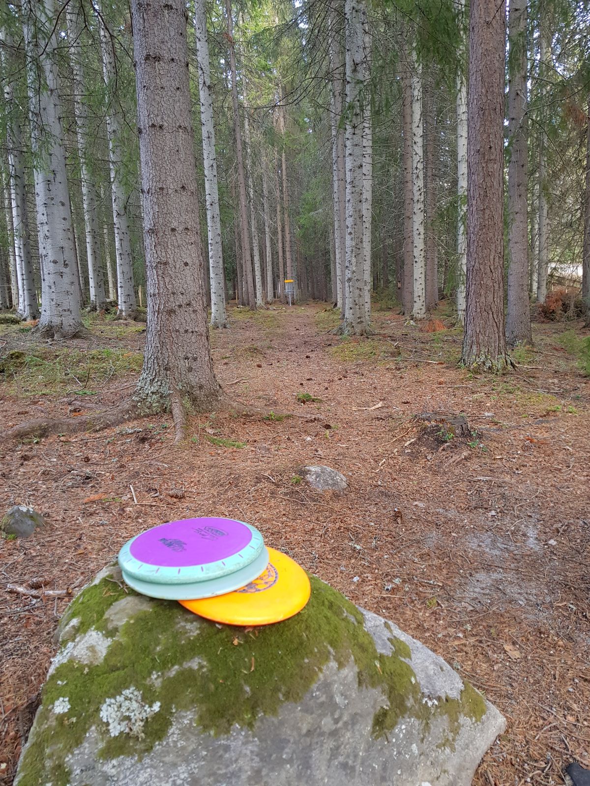 Hål 8